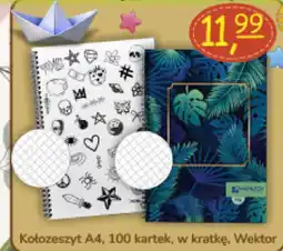Delikatesy Paleo Kołozeszyt A4, 100 kartek, w kratkę, Wektor oferta