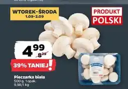 Netto Pieczarki białe Z Zieleniaka Netto oferta
