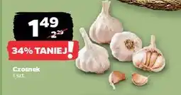Netto Czosnek oferta