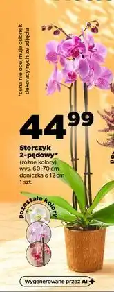 Netto Storczyk 2-pędowy oferta
