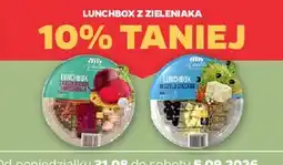 Netto Lunchbox w stylu greckim Z Zieleniaka Netto oferta