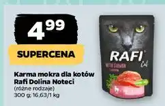 Netto Karma dla kota z łososiem Rafi Cat oferta
