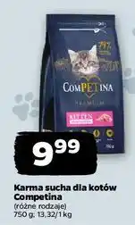 Netto Karma dla kota kitten Competina oferta