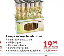 Makro Lampa solarna Barwa oferta