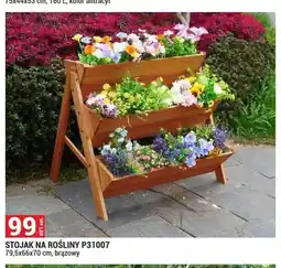 Merkury Market Stojak na rośliny P31007 oferta