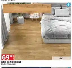 Merkury Market Gres Illinois Roble 23,3x120 cm oferta