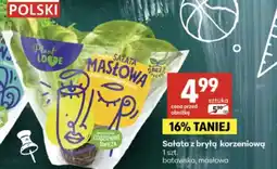Delikatesy Centrum Sałata masłowa Polski oferta