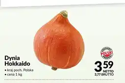 Makro Dynia Hokkaido polska oferta