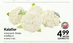 Makro Kalafior polski oferta