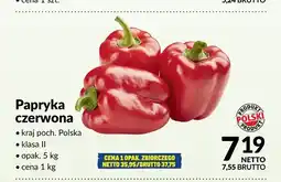 Makro Papryka czerwona polska oferta