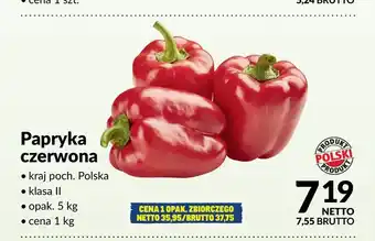 Papryka czerwona polska