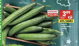 Delikatesy Centrum Ogórki szklarniowe polskie oferta