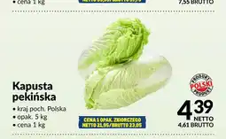 Makro Kapusta pekińska polska oferta