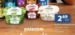 Delikatesy Centrum Serek homogenizowany limonka-mięta Kanka oferta