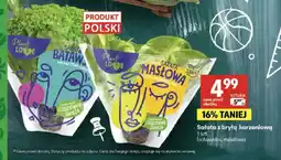 Delikatesy Centrum Sałata z bryłą korzeniową masłowa Plant Love oferta