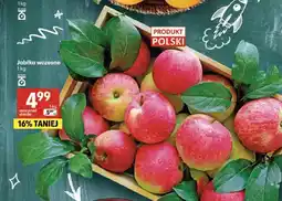 Delikatesy Centrum Jabłka wczesne polskie oferta