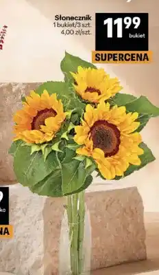 Delikatesy Centrum Słonecznik oferta