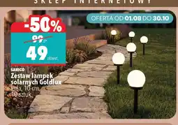 Biedronka Zestaw lampek Sanico oferta