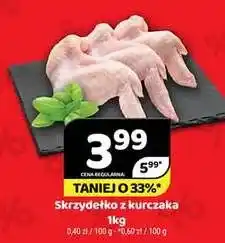 Delfin Skrzydełko z kurczaka oferta