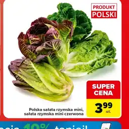 Carrefour Market Sałata rzymska Polski oferta
