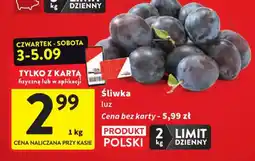 Intermarche Śliwka luz oferta
