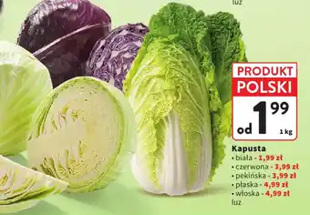 Intermarche Kapusta oferta