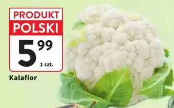 Intermarche Kalafior oferta