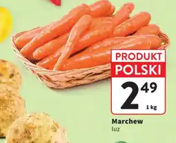 Intermarche Marchew luz oferta