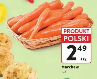 Intermarche Marchew luz oferta