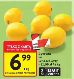 Intermarche Cytryna luz oferta
