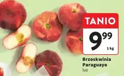 Intermarche Brzoskwinia Paraguayo luz oferta