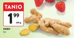 Intermarche Imbir luz oferta