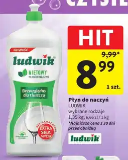 Intermarche Płyn do naczyń LUDWIK oferta