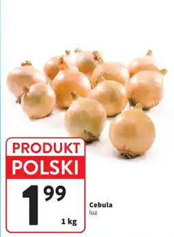 Intermarche Cebula luz oferta