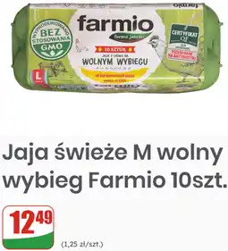 Dino Jaja świeże M wolny wybieg Farmio 10szt oferta
