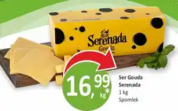 Sklepy S Ser Gouda Serenada oferta