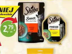 Sklepy S Sheba Sauce Collection oferta