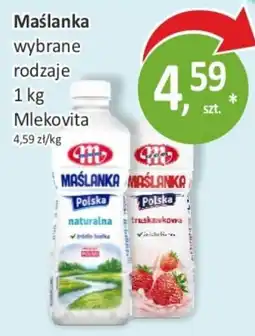 Sklepy S Maślanka wybrane rodzaje oferta