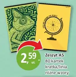 Sklepy S Zeszyt A5 oferta
