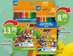 Sklepy S Kredki ołówkowe BIC oferta