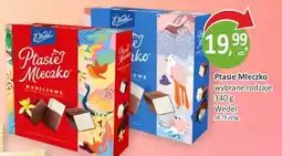 Sklepy S Ptasie Mleczko oferta