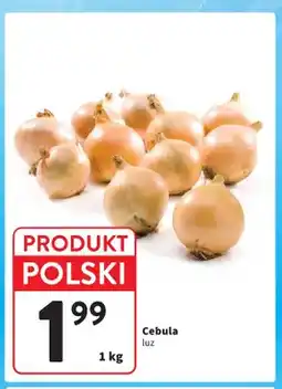 Intermarche Cebula oferta