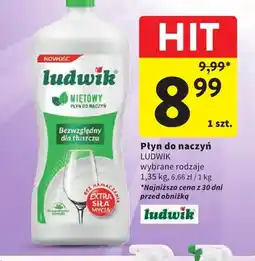 Intermarche Płyn do naczyń Ludwik oferta