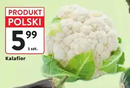 Intermarche Kalafior polski oferta