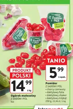 Intermarche Pomidory cherry czerwone Z Sadów i Pól oferta