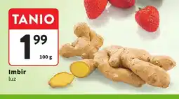 Intermarche Imbir oferta