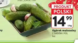 Intermarche Ogórki małosolne Z Sadów i Pól oferta