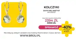 Briju Kolczyki złoto 585 ametyst Briju KN-000137 oferta