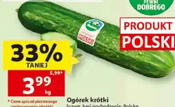 Auchan Ogórek krótki luzem oferta