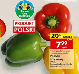Auchan Papryka trzy kolory oferta